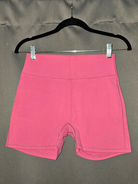 Buffbunny Collection Legacy Shorts Pink Bike Shorts Large 4 Inch